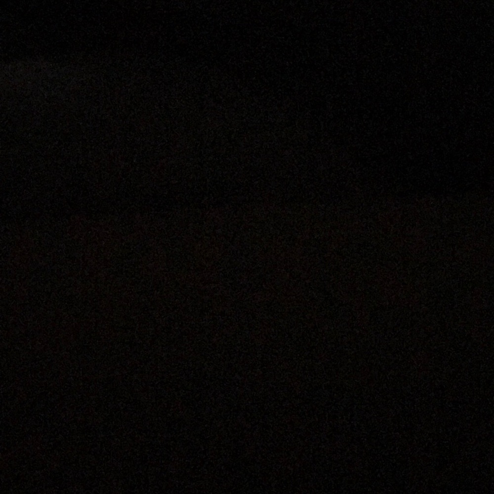 Meet your Posher, Shelby